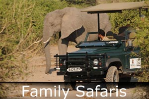 botswana family safaris