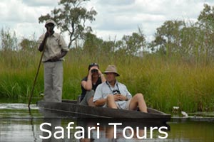 botswana safari tours