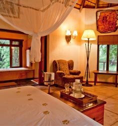 Thorny bush bedroom